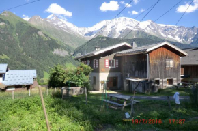 Les passereaux Saint-Gervais-Les-Bains